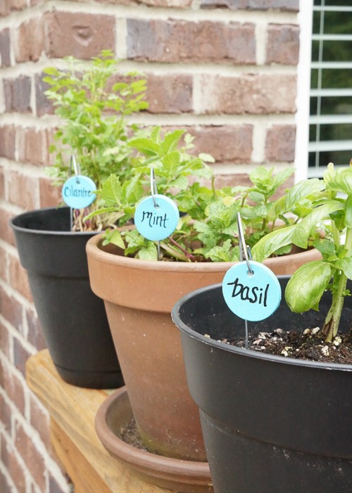 Clay-herb-garden-markers-two-purple-couches