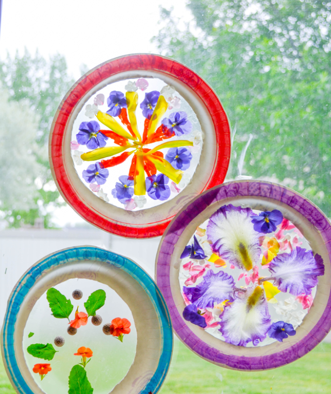 Flower-mandala-suncatchers-683x1024-1