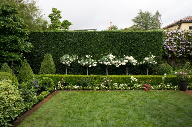 Hedged-garden