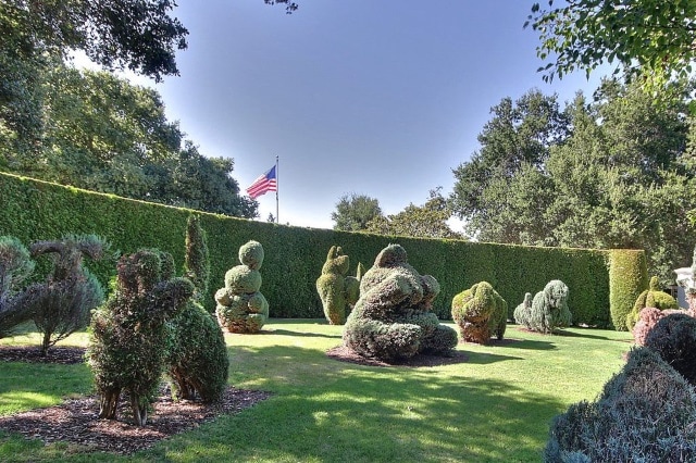 Hedges-and-topiaries