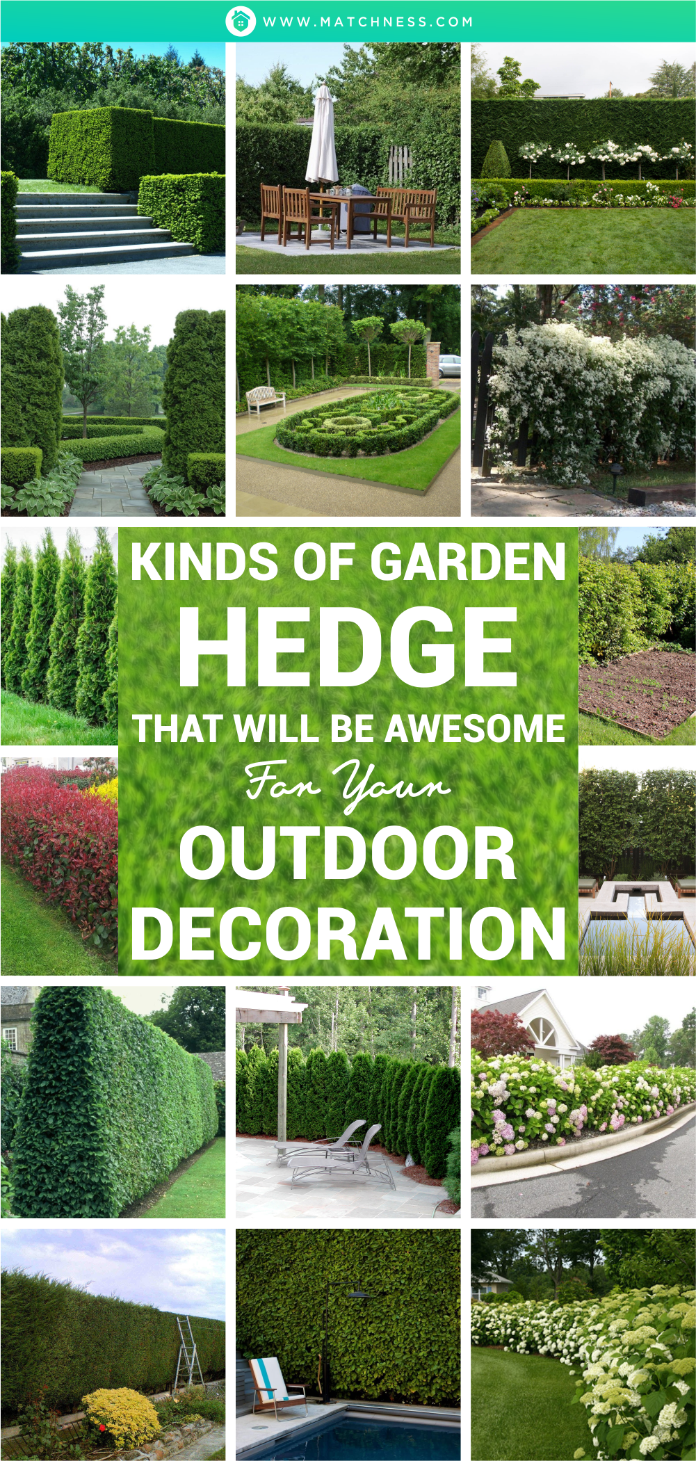 Kinds-of-garden-hedge-that-will-be-awesome-for-your-outdoor-decoration1