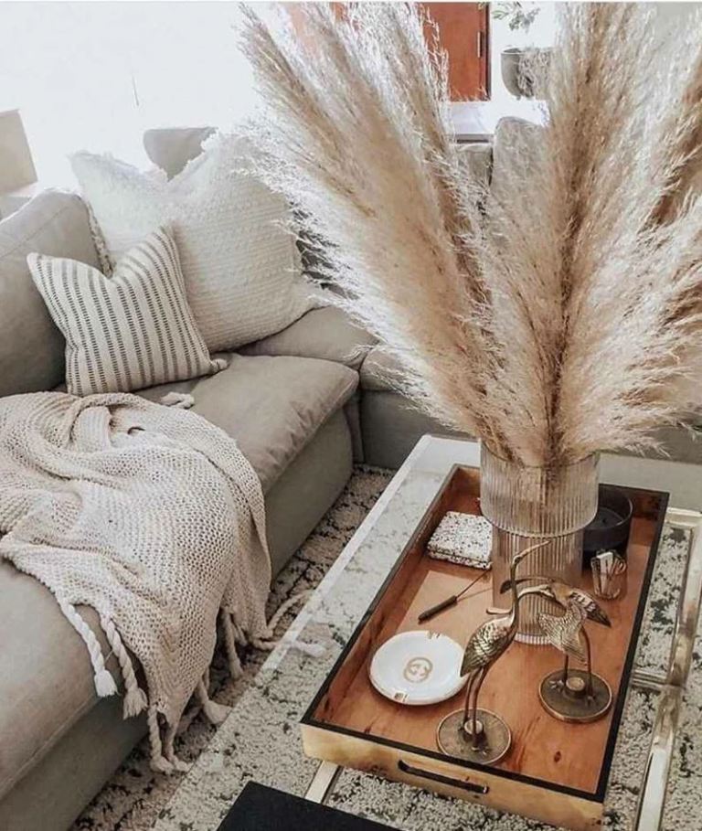 Pampas-grass-home-and-garden-ideas5