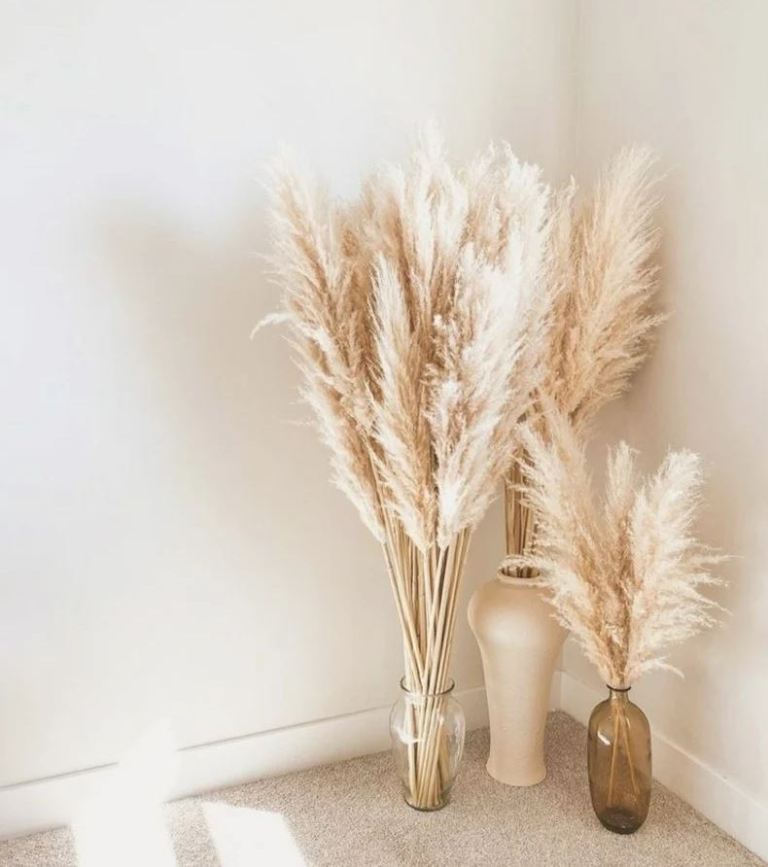 Pampas-grass-home-and-garden-ideas7