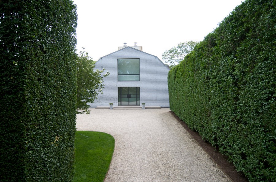 Privet-creates-tall-green-hedge-formations