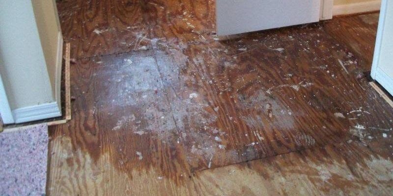 Water-smoke-damage-001-800x5001-1