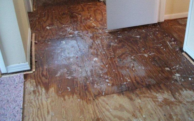 Water-smoke-damage-001-800x5001-1