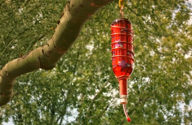 Awesome-diy-wine-bottle-crafts-for-outdoors-5
