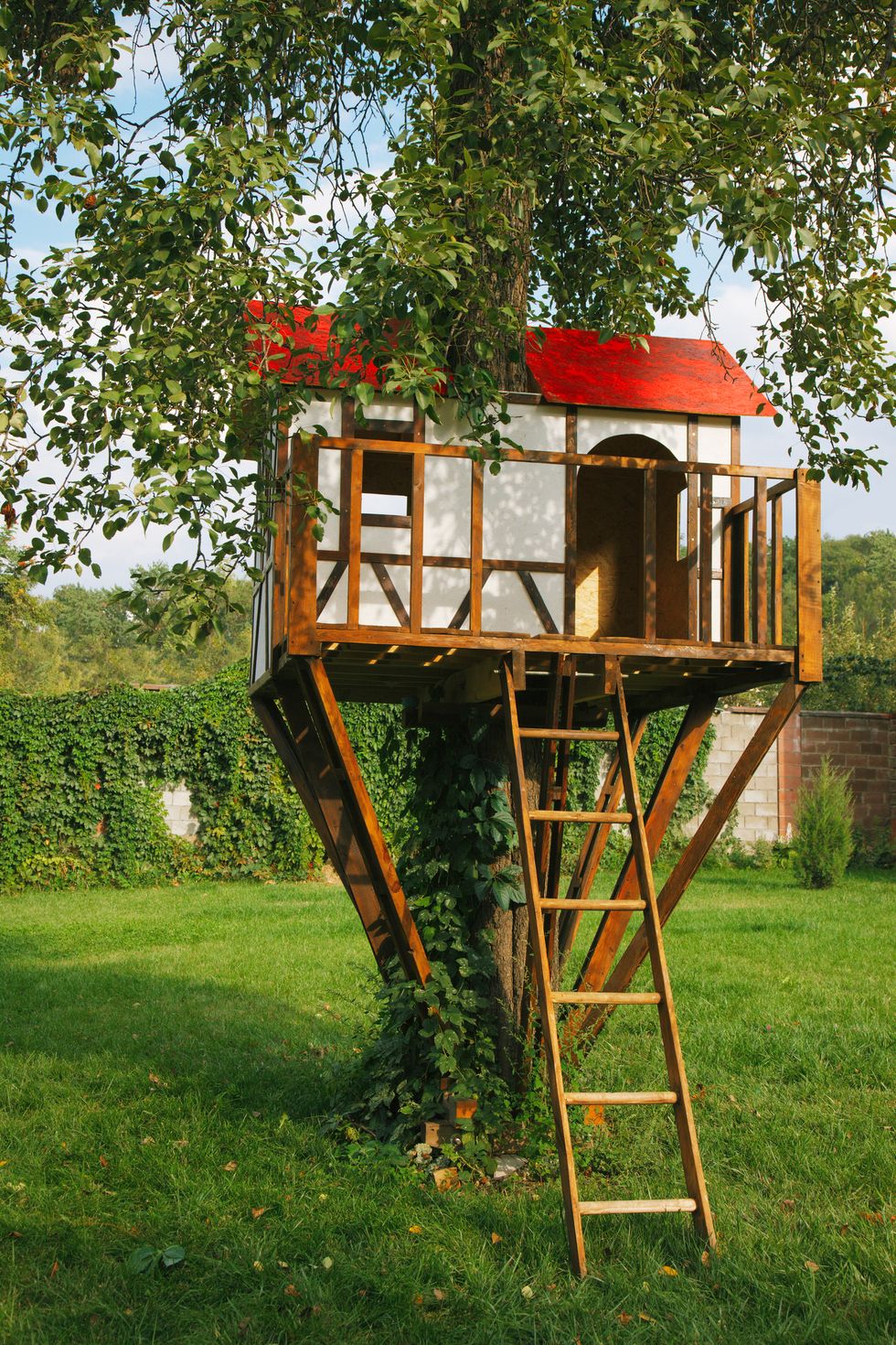 Cute-small-tree-house-for-kids-on-backyard-royalty-free-image-177436391-1567115419