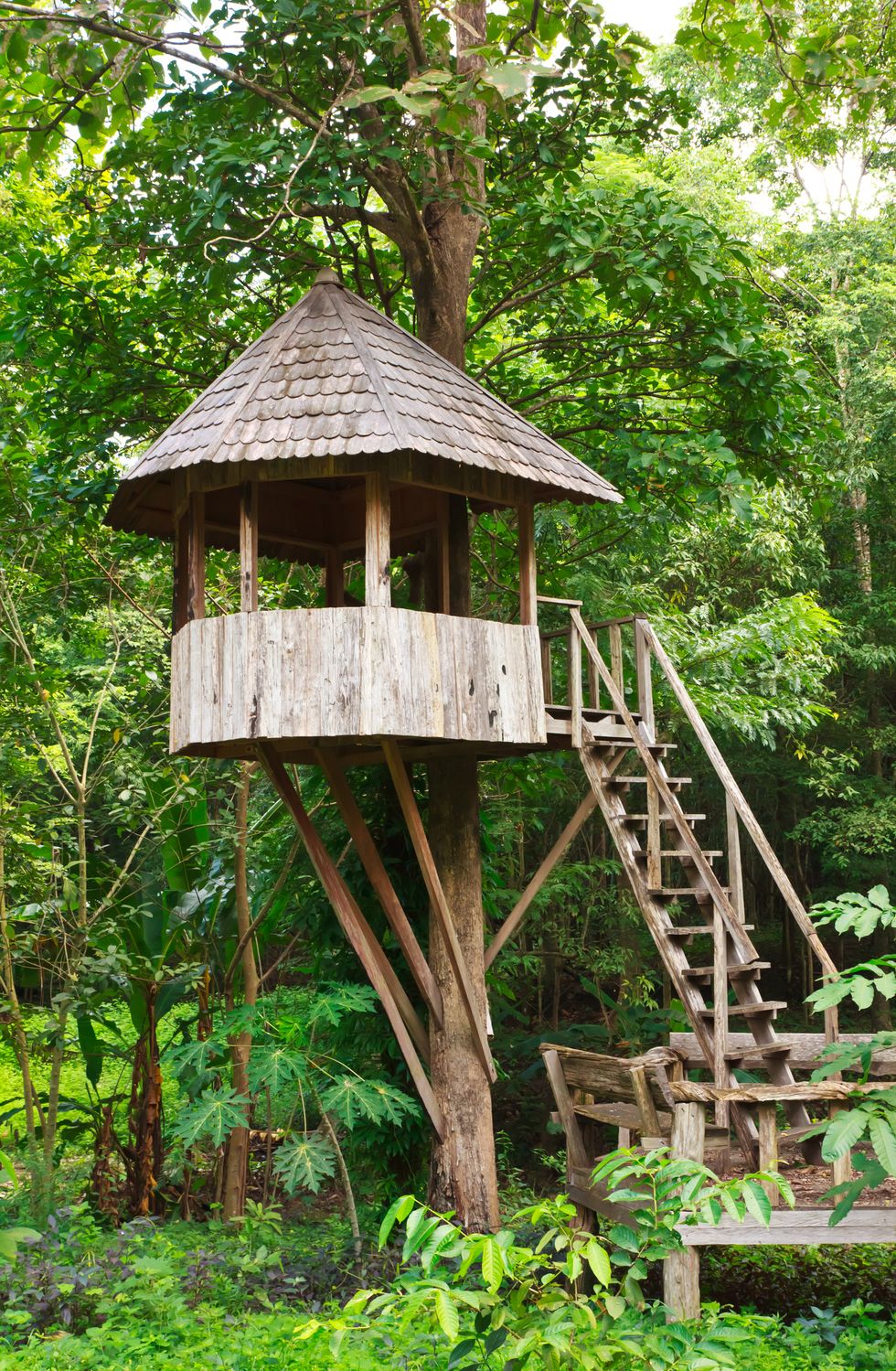 Cute-wooden-tree-house-royalty-free-image-188149225-1567115847
