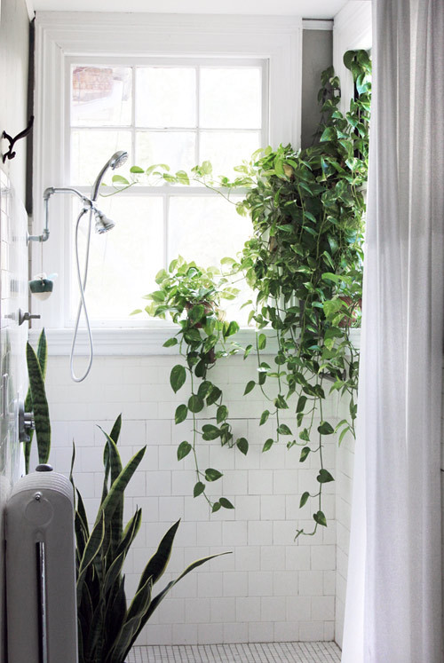 Designsponge-bathroom-reno