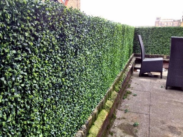Garden-privacy-protection-hedge-garden-boxwood-rattan-furniture