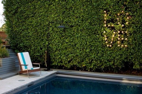 Hedge-design-ideas-privacy-protection-pool-light