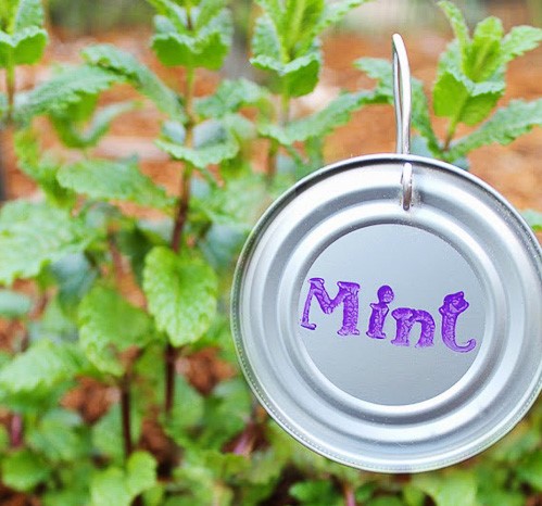 How-to-make-plant-markers-from-can-lids
