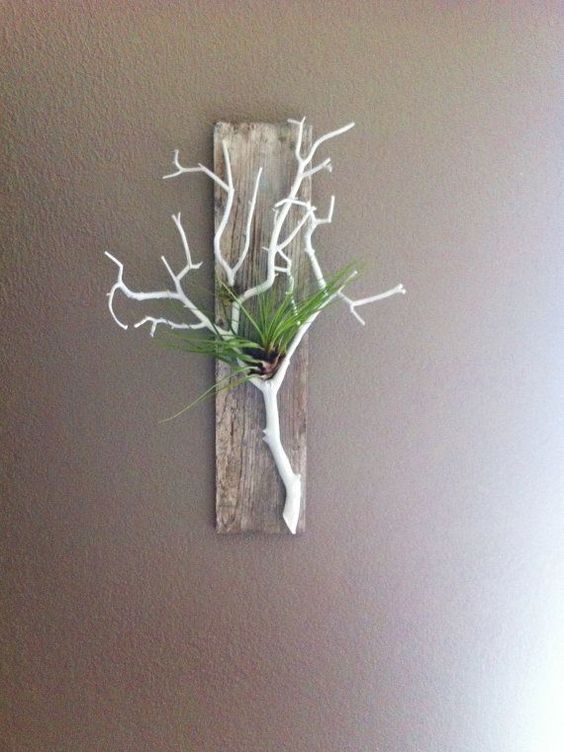 Naturalness-in-air-plant-holder-with-branches