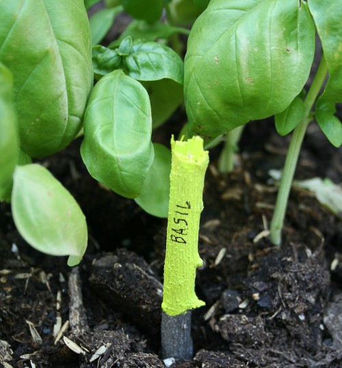 Painted-twig-plant-markers
