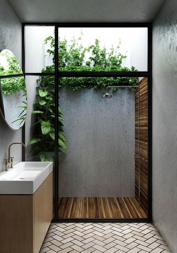 Shower-vine