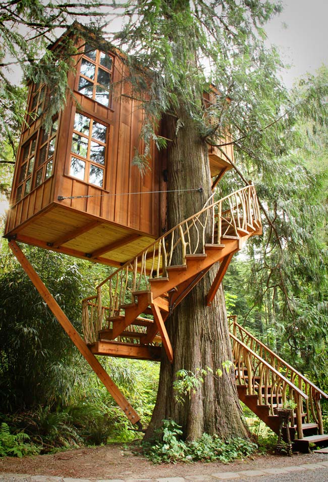 Tree-house-10