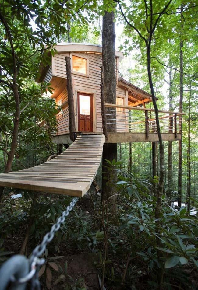 Tree-house-4
