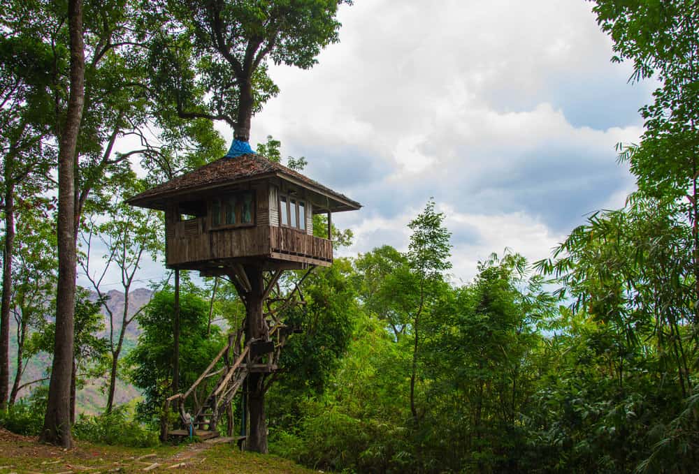 Treehouse-photo-example2018-04-30-at-1.40.02-pm-14