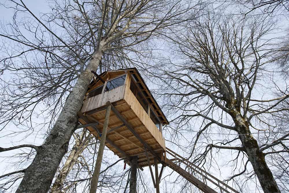Treehouse-photo-example2018-04-30-at-1.40.02-pm-19