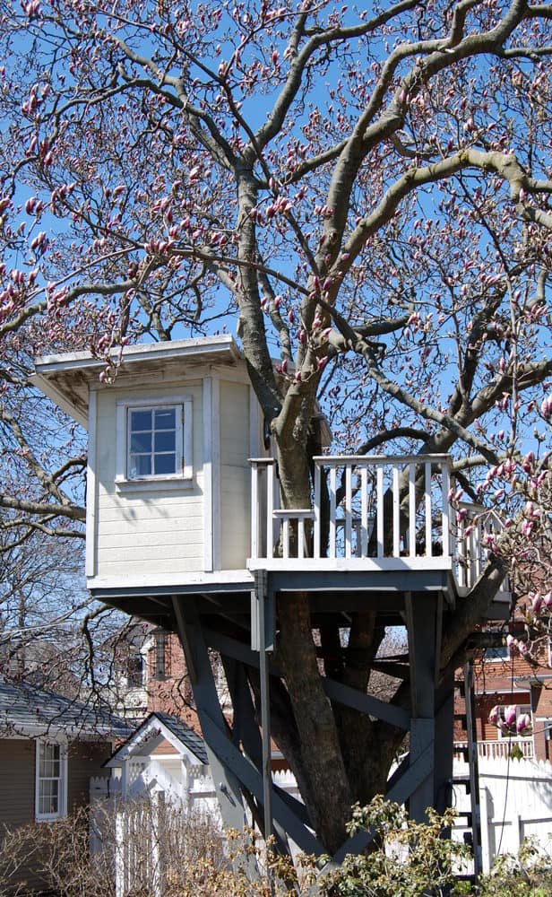Treehouse-photo-example2018-04-30-at-1.40.02-pm-2