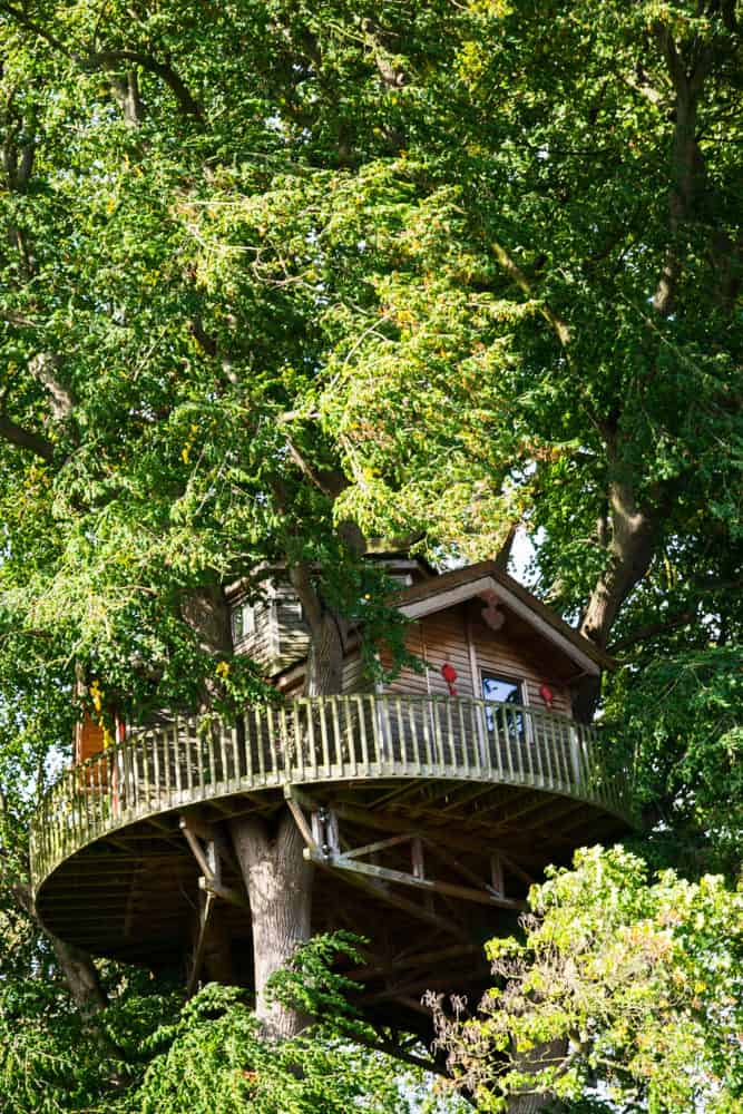 Treehouse-photo-example2018-04-30-at-1.40.02-pm-30