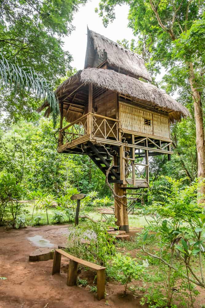 Treehouse-photo-example2018-04-30-at-1.40.02-pm-7