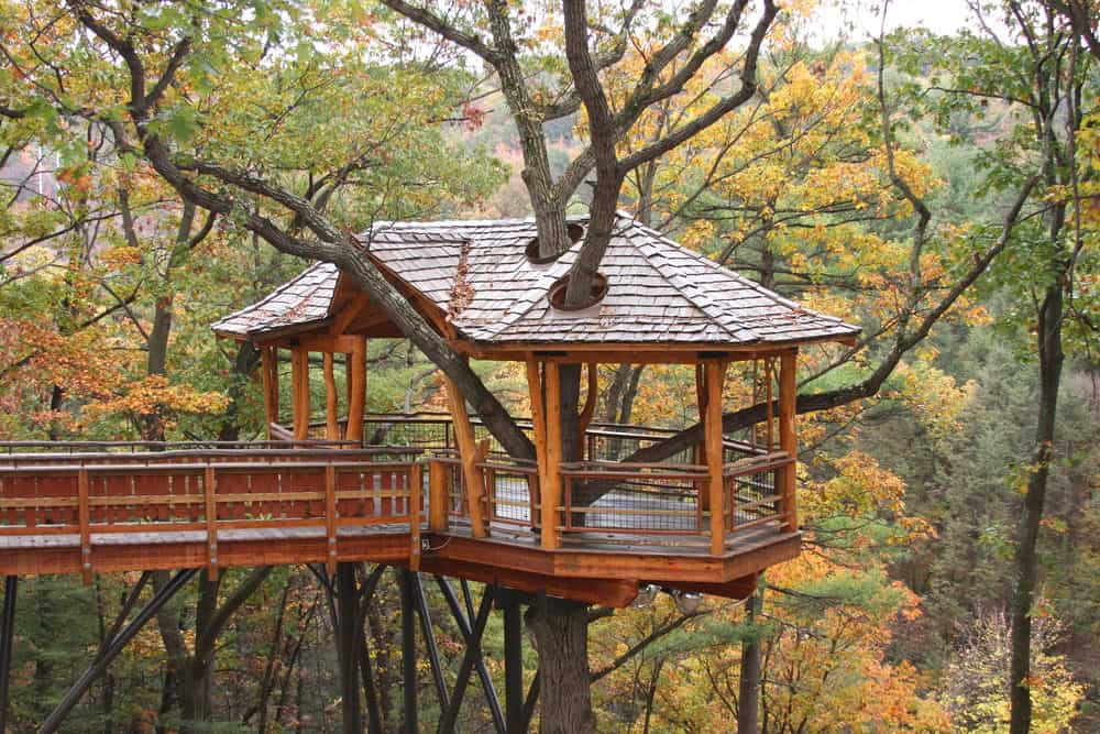 Treehouse-photo-example2018-04-30-at-1.40.02-pm