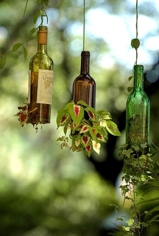 Use-empty-wine-bottles-in-the-garden-again-20-clever-ideas-16-277