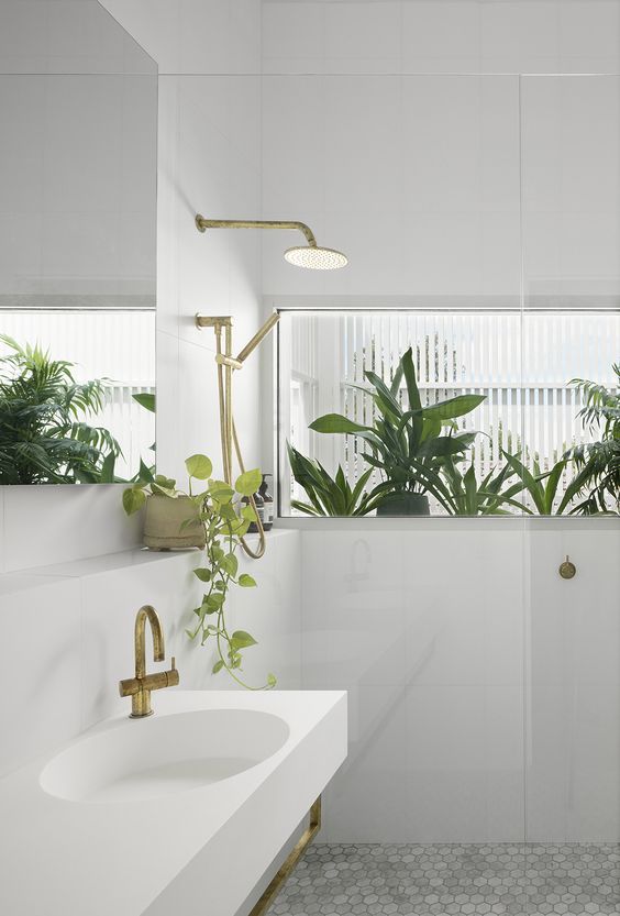 Windowsill