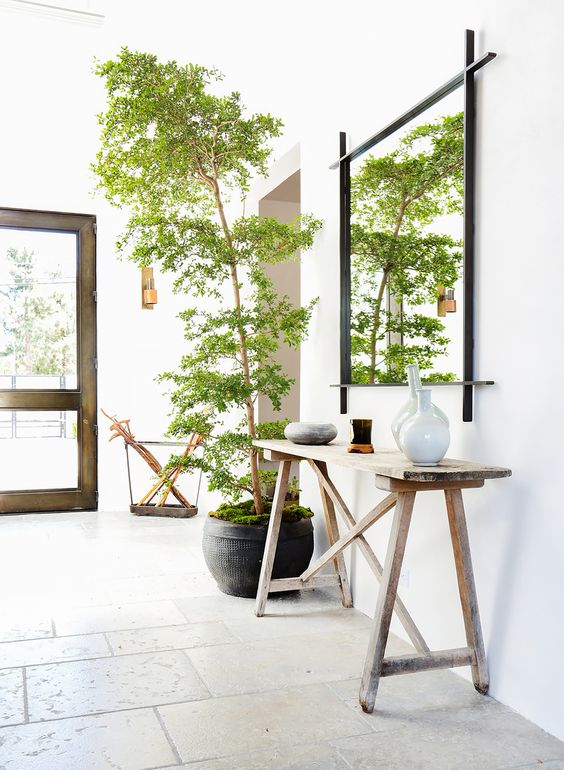 16-tall-tree-in-a-pot-covered-with-moss-and-placed-in-the-entryway