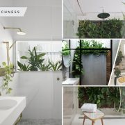 25 ideas to have the shower plants2
