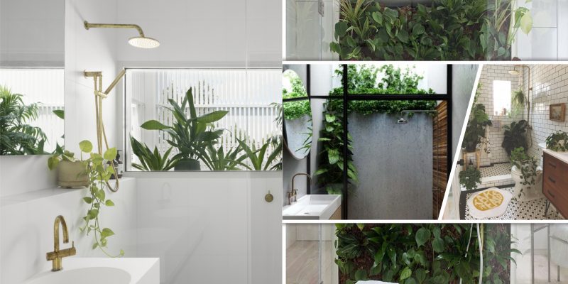 25 ideas to have the shower plants2