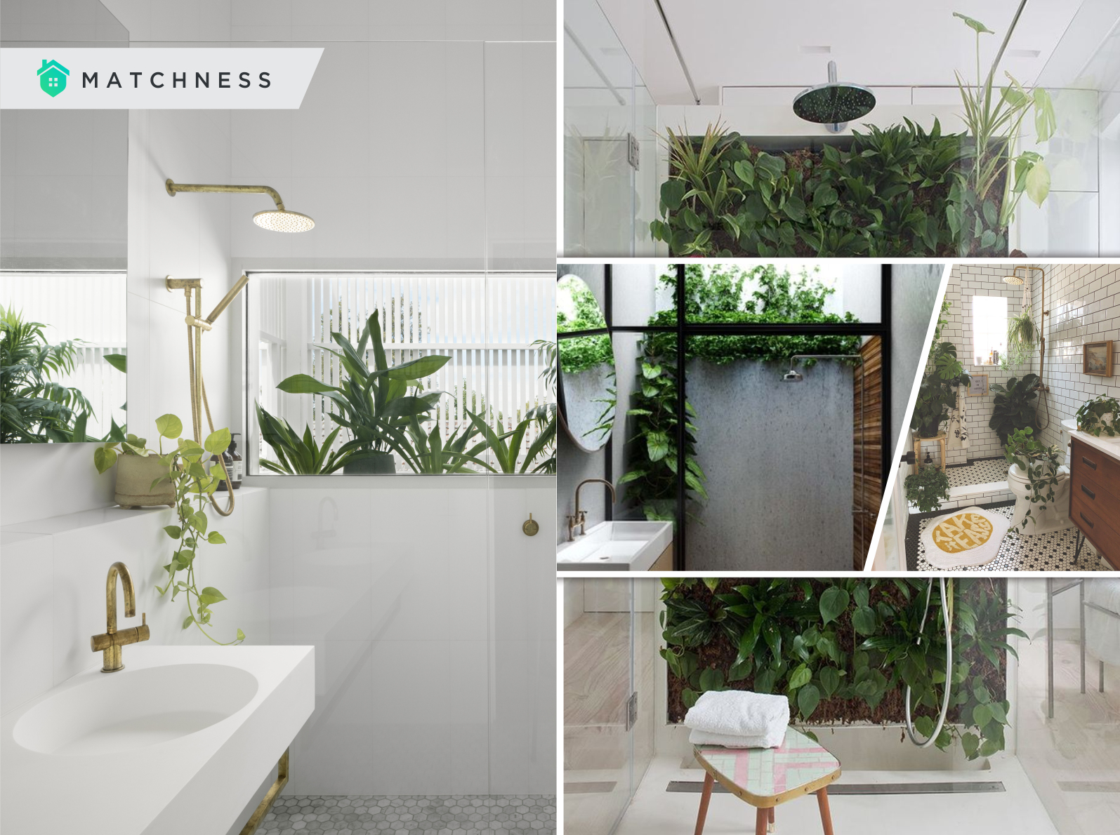 21 Ideas to Have the Shower Plants   Matchness.com