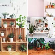 25 plant shelf designs that will be awesome2