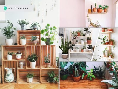25 plant shelf designs that will be awesome2