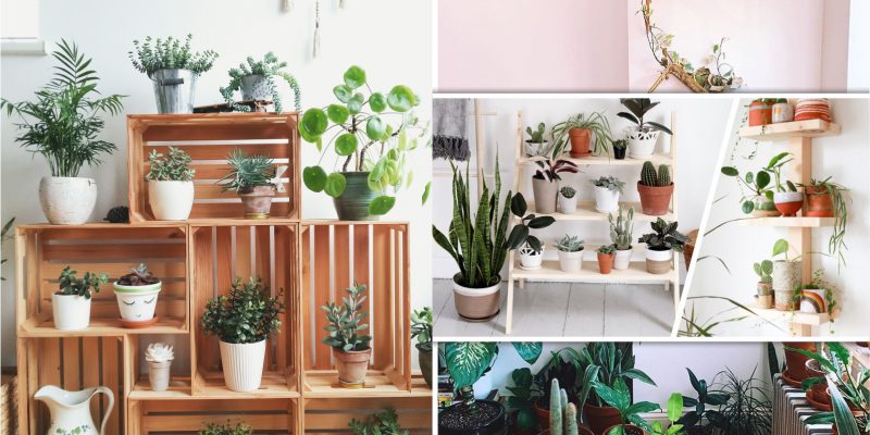 25 plant shelf designs that will be awesome2