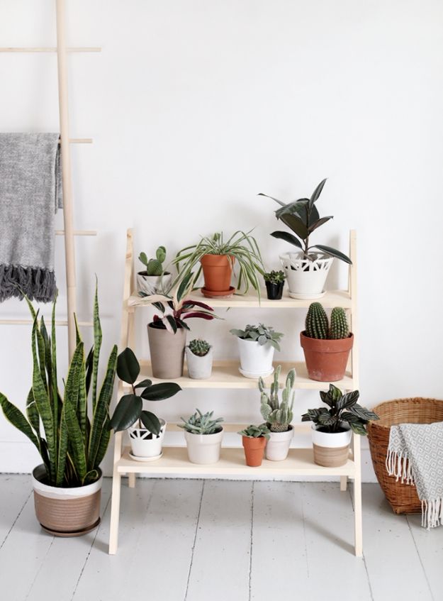 Diy-ladder-plant-stand-1