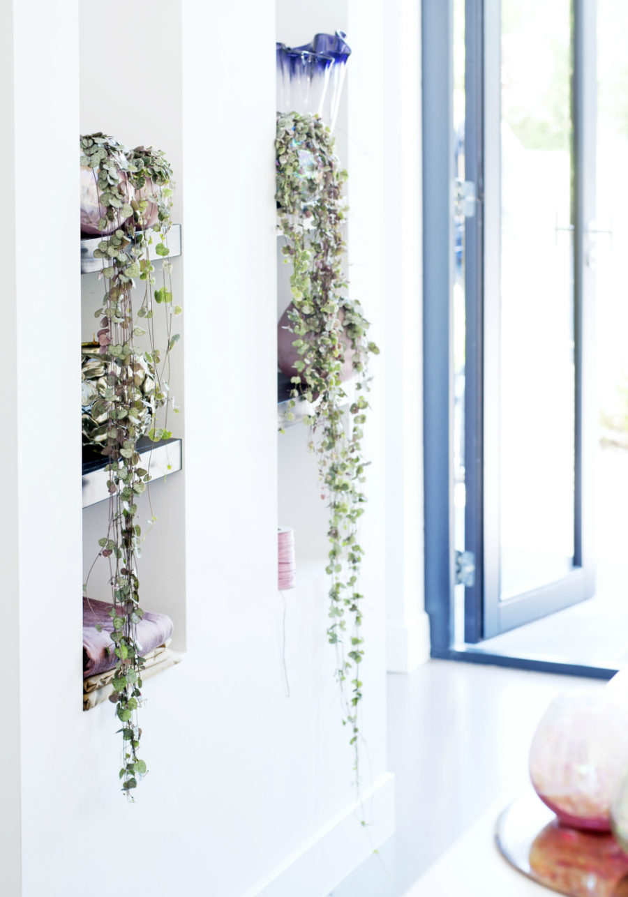Hanging-plants-on-shelves-900x1286-1