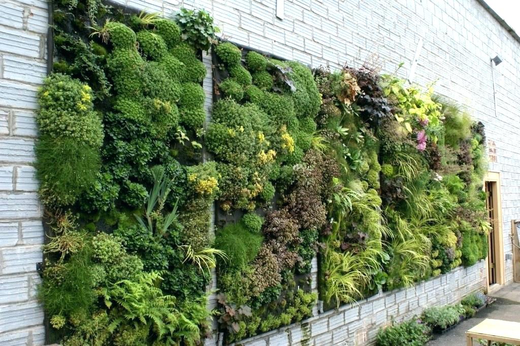 Living-wall-31276-70284