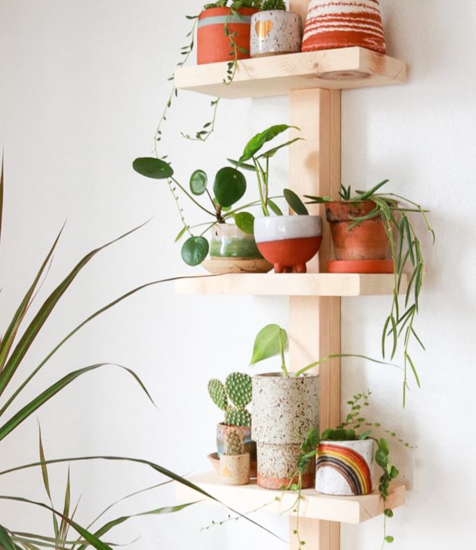 Plant-shelf