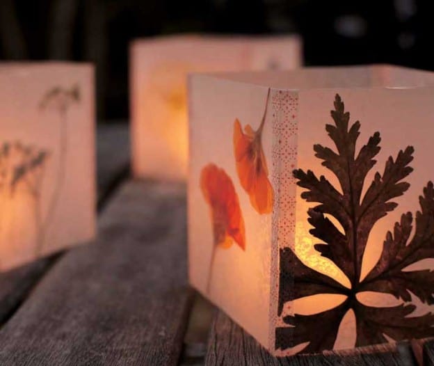 Pressed-flower-luminarias