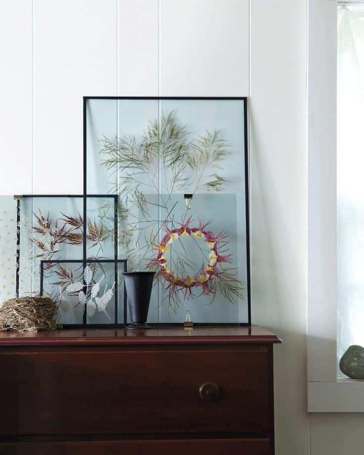 Pressed-flowers-in-glass