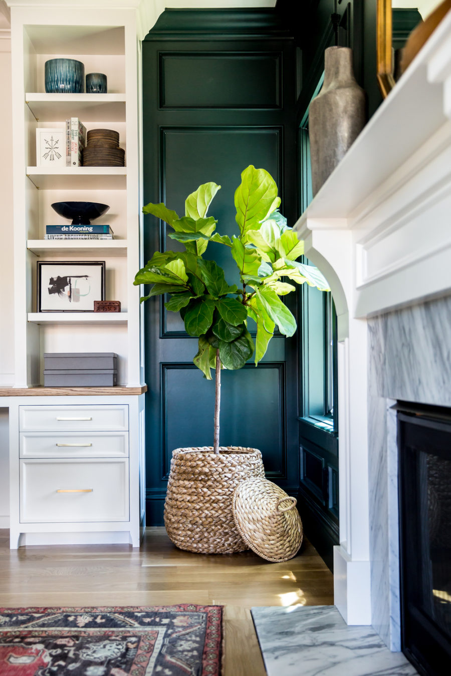 Studiomcgees-favorite-plants-900x1350-1