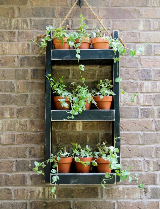 Wood-planter-hang-for-the-wall