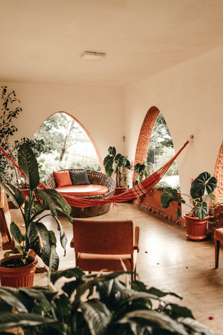 Best-urban-jungle-interior-style-ideas-1001gardens.org-10-728x1092-1