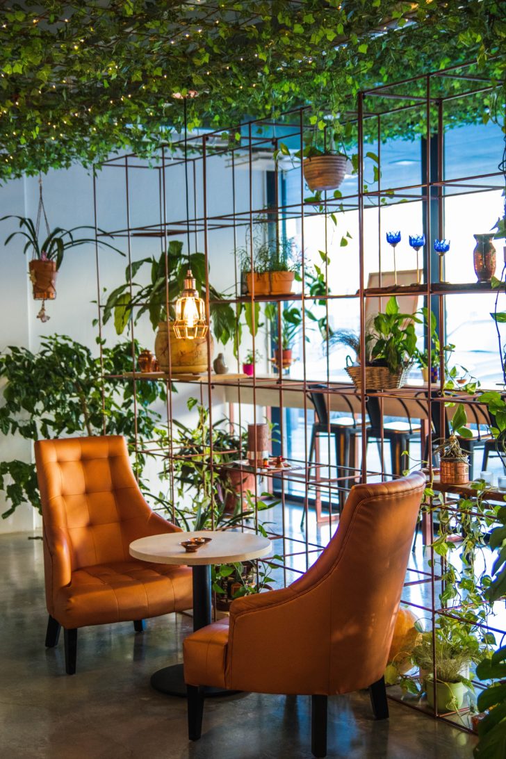 Best-urban-jungle-interior-style-ideas-1001gardens.org-17-728x1092-1
