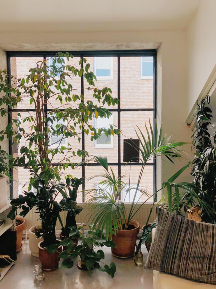 Best-urban-jungle-interior-style-ideas-1001gardens.org-8-728x971-1