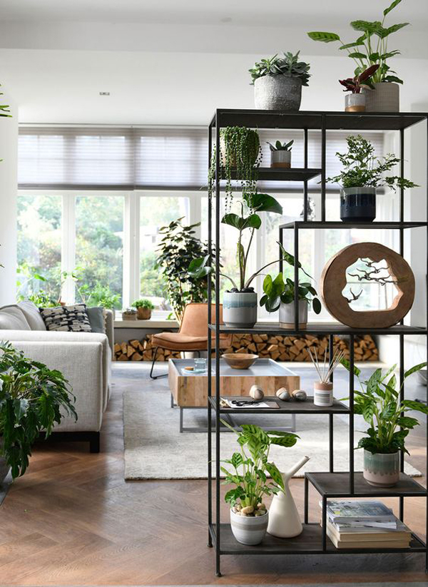 Cool-plant-rack-divider-for-living-room