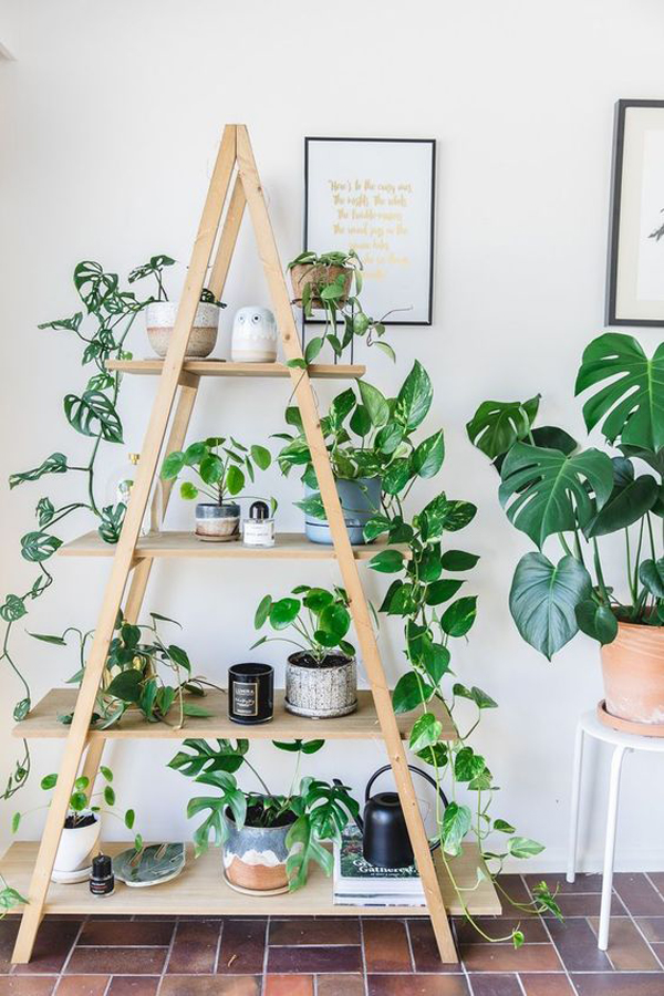 Indoor-a-frame-plant-shelf-decor